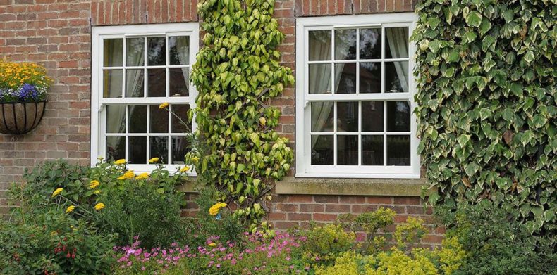 How to Choose the Right Window Type for Your Home